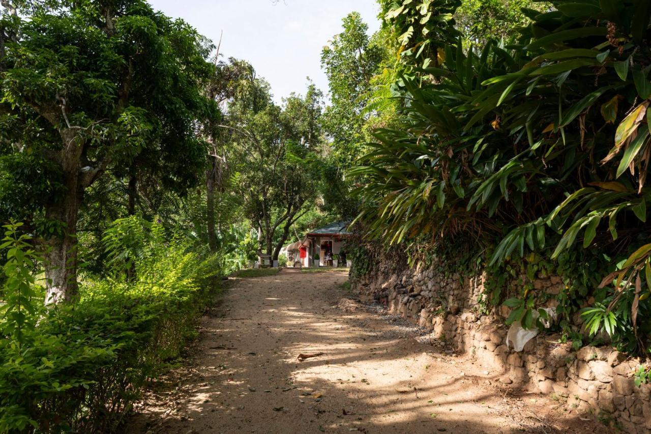 Roseland Cottages Bandarawela Bagian luar foto