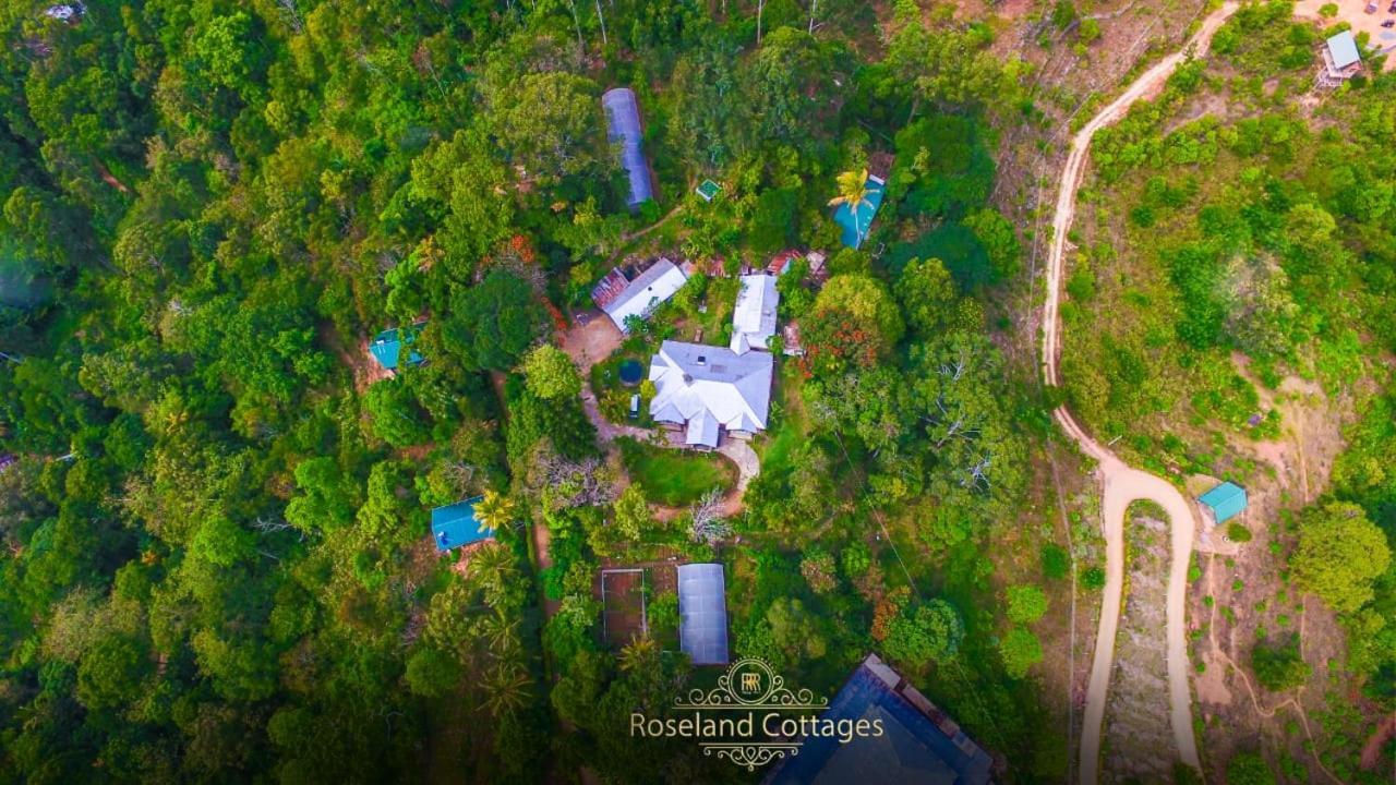 Roseland Cottages Bandarawela Bagian luar foto