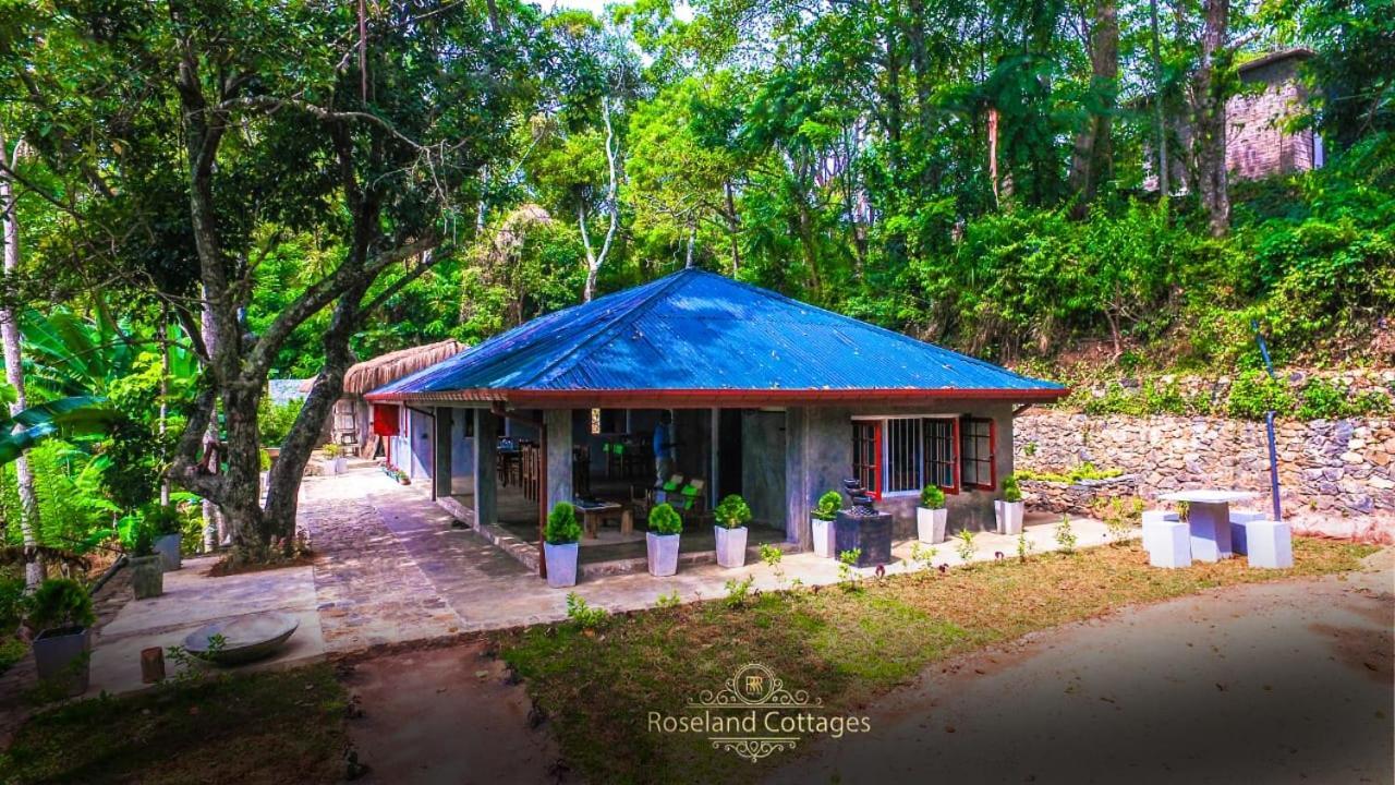 Roseland Cottages Bandarawela Bagian luar foto