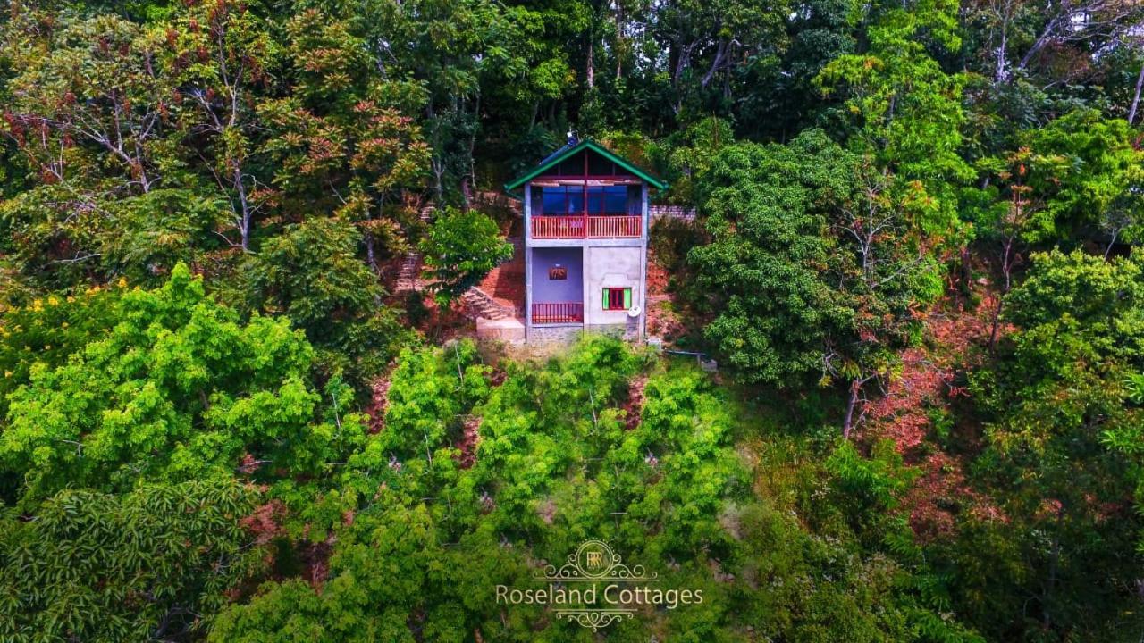 Roseland Cottages Bandarawela Bagian luar foto