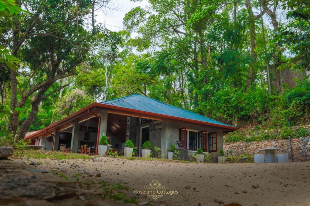 Roseland Cottages Bandarawela Bagian luar foto