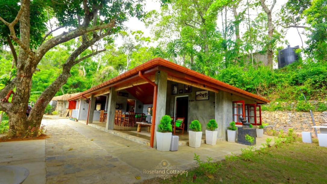 Roseland Cottages Bandarawela Bagian luar foto